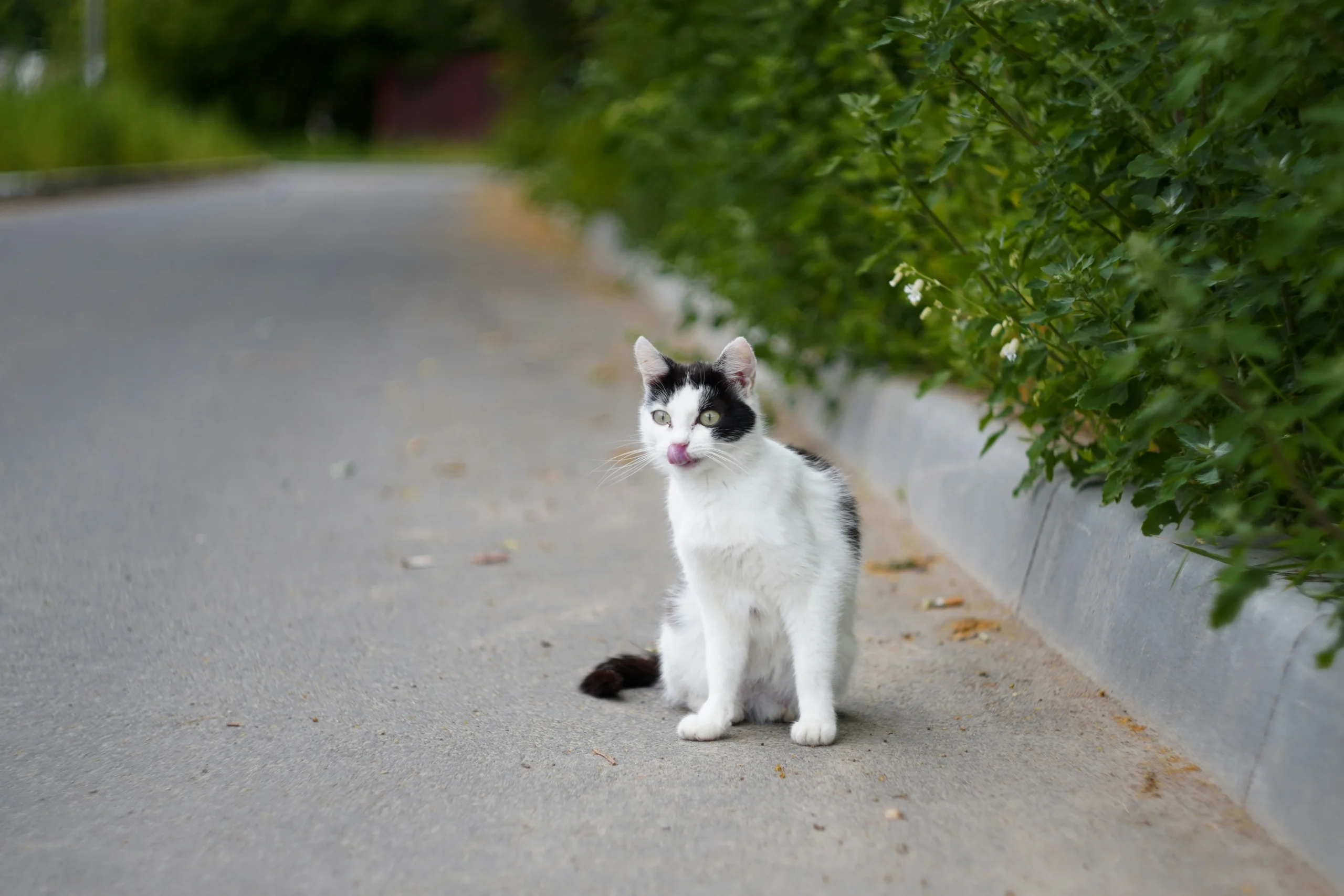 maxim-tolchinskiy-EQItZNoJTb0-unsplash